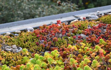 the cost of Menthorpe green roof installation