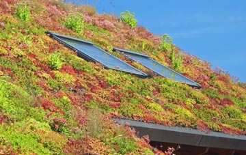 Menthorpe living roof systems