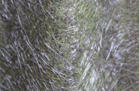 Menthorpe fibreglass roof work